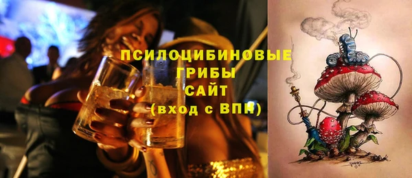 apvp Абаза