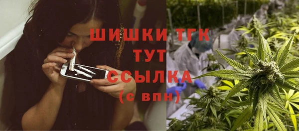 амф Абинск
